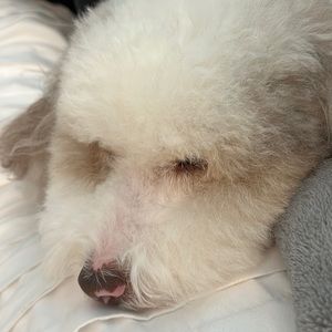 Meet your Posher, Stephen